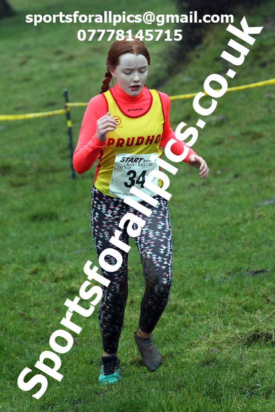 Girls under-13s, NECAA Junior Cross Country Relays, Thornley Farm, Peterlee, Saturday, December 12th. Photo: David T. Hewitson/Sports for All Pics